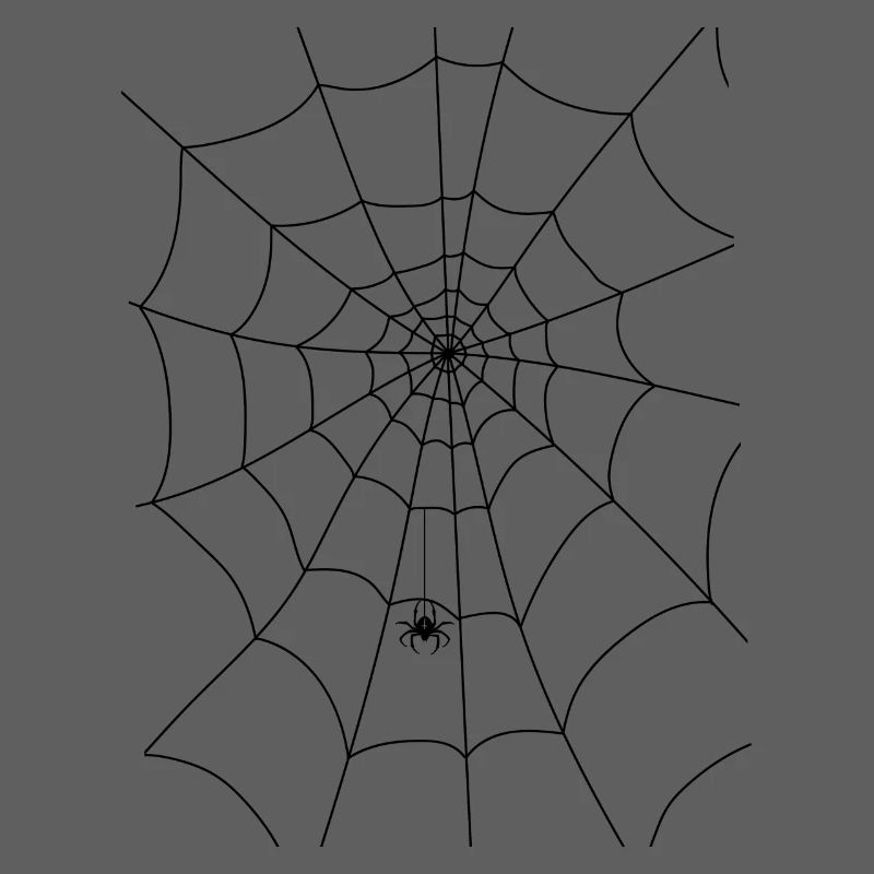 Spinnennetz, Spinne, Spinne im Netz