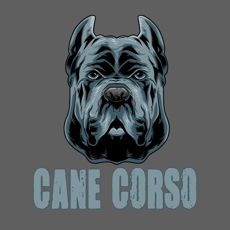 Cane Corso pour cane Corso propriétaire Cane