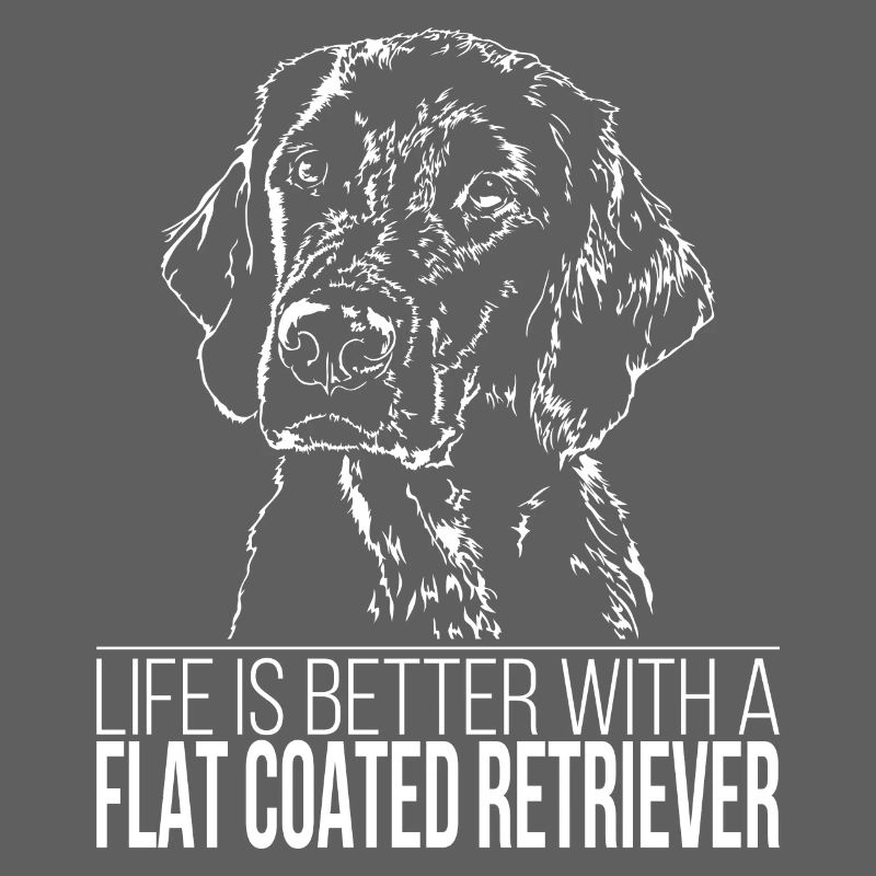 FLAT COATED RETRIEVER Life better Verder