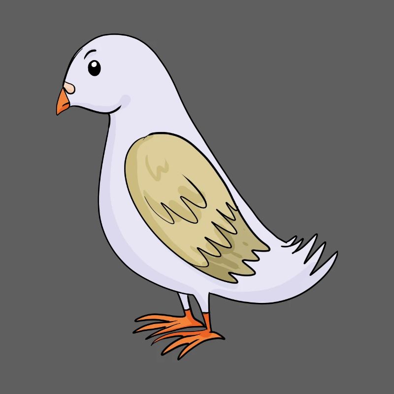 Colombe