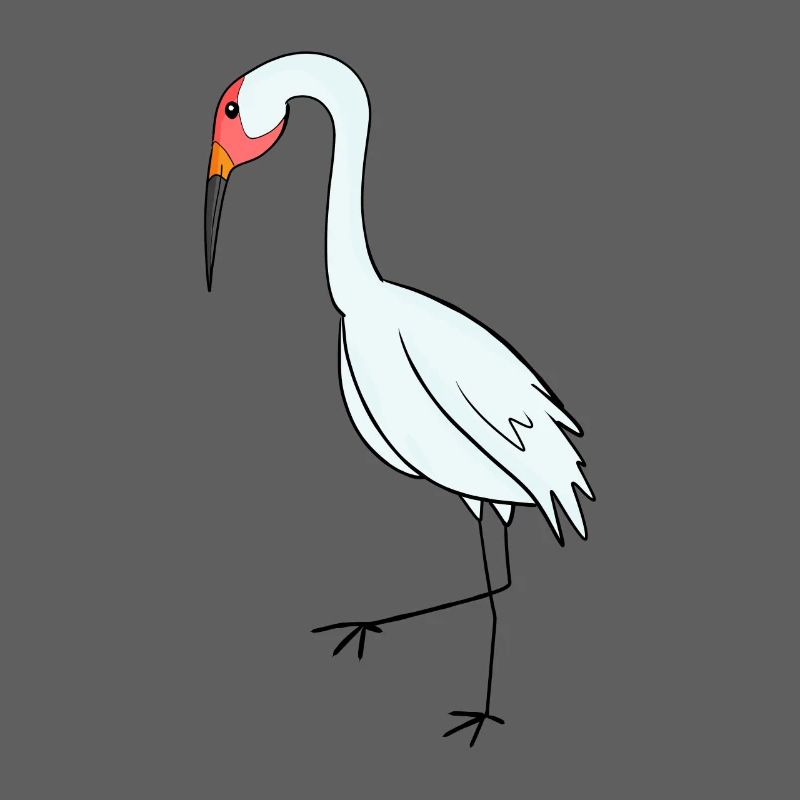 Oiseaux migrateurs Grue Oiseau