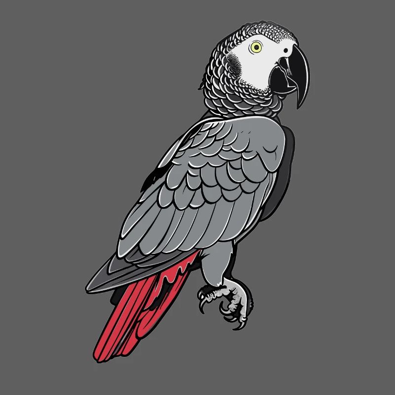 Perroquets gris d’Afrique