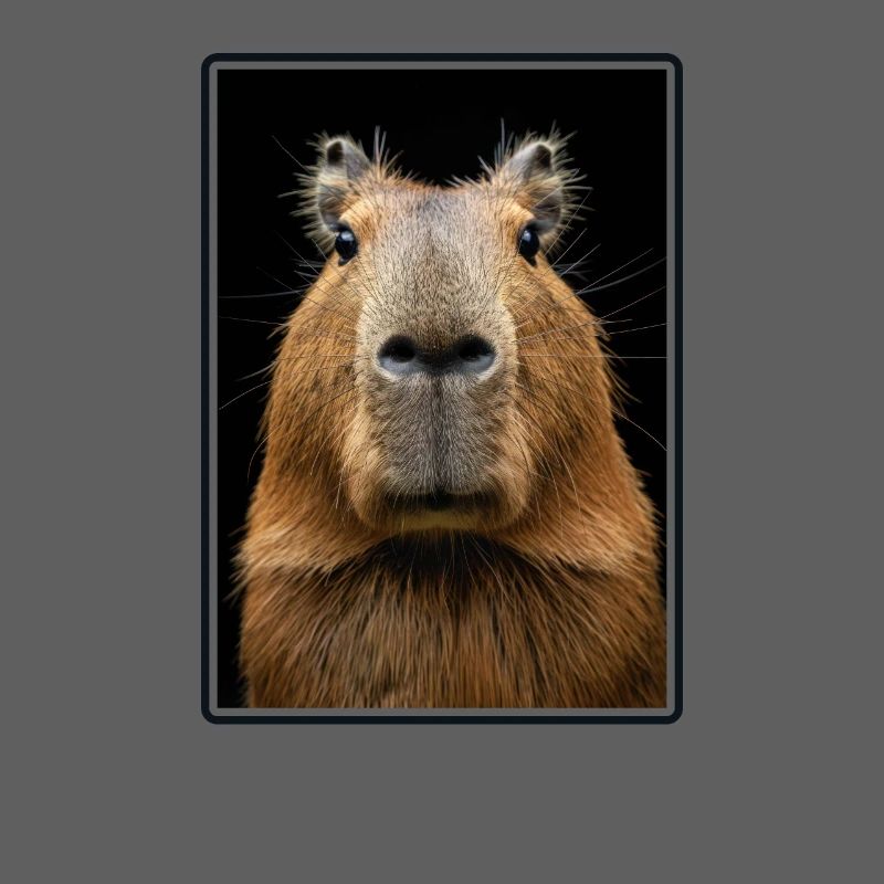 Capybaras Capybara
