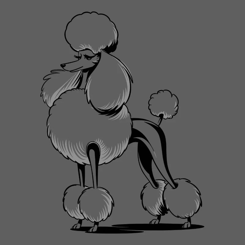 Caniche élégant au look élégant
