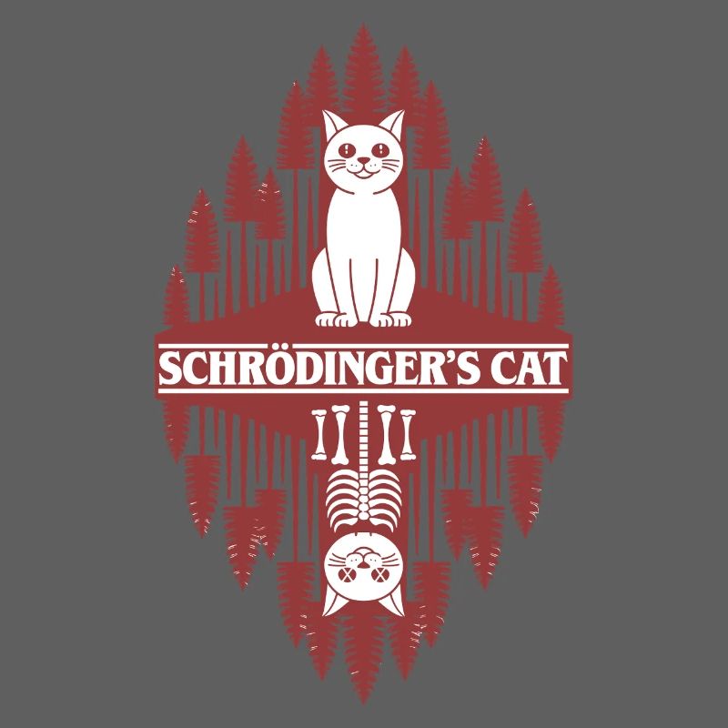 Le chat de Schroedinger : une chose étrange