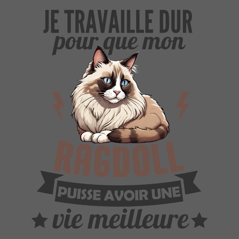 chat ragdoll