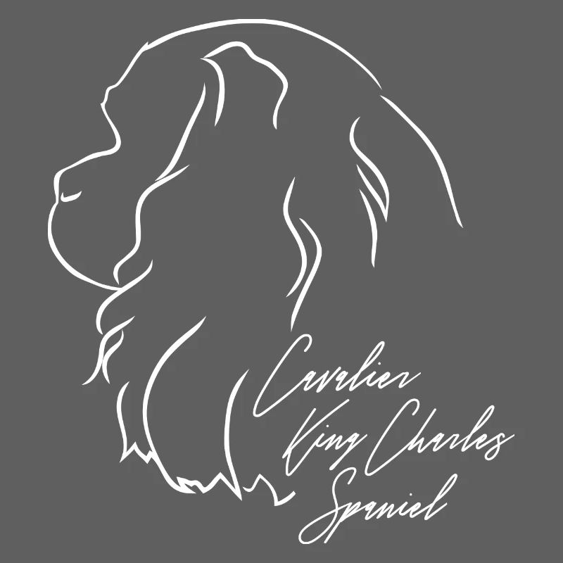 CAVALIER KING CHARLES SPANIEL Profil Wilsigns Hund