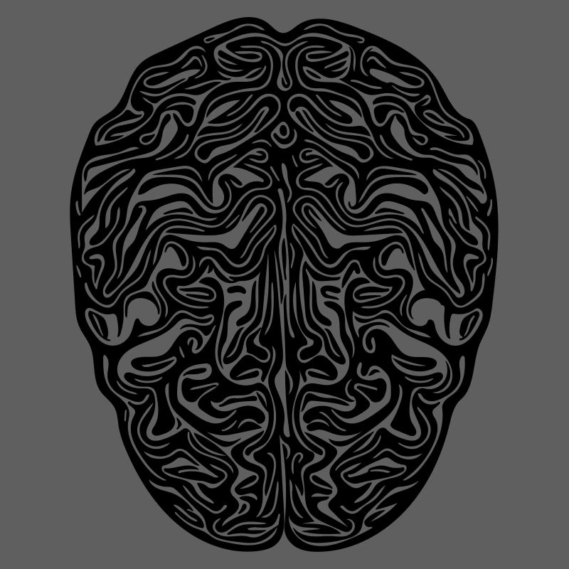 Cerveau - Vector anatomique