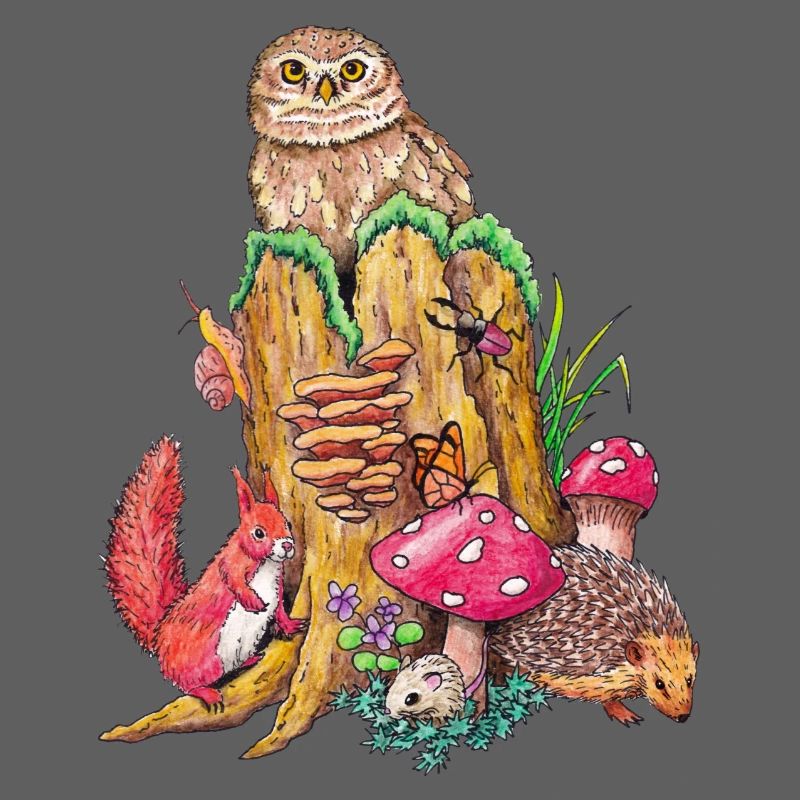 Forest animals