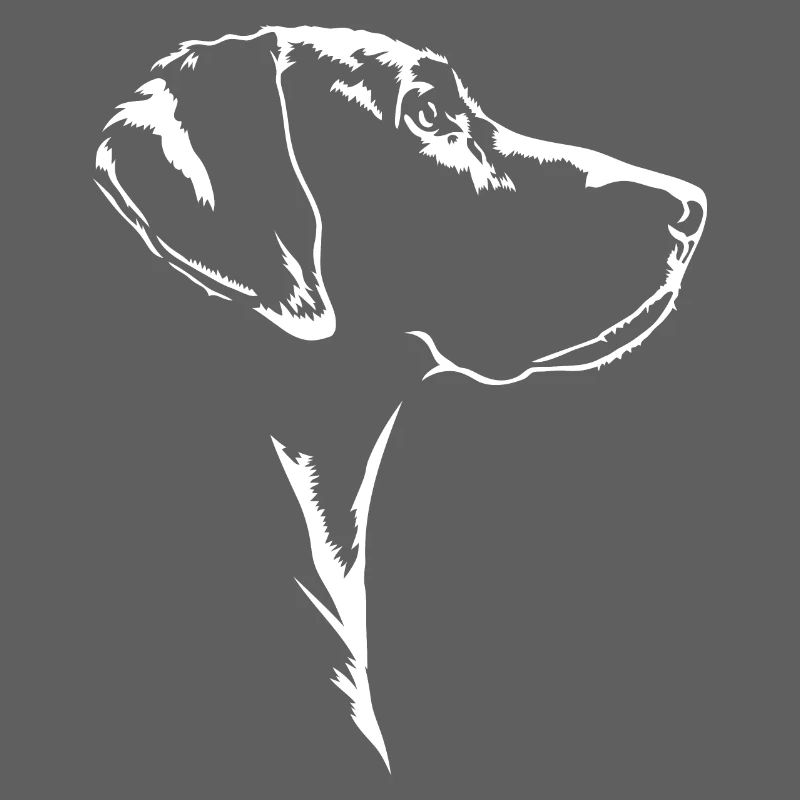 Deutsch Kurzhaar Jagdhund Jagdhunde Hund Wilsigns