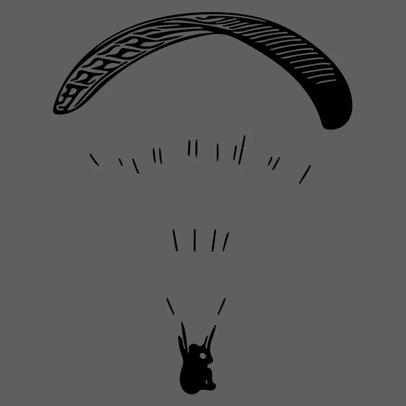 Paraglider
