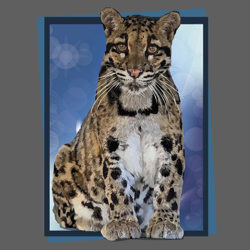 Clouded leopard