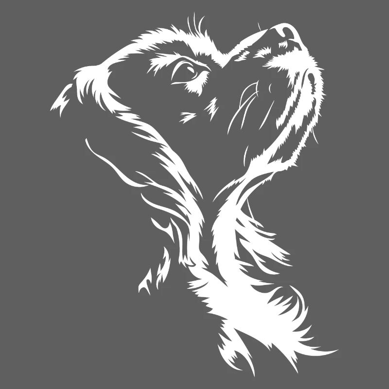 Cavalier King Charles Spaniel Chien Chien Wilsigns