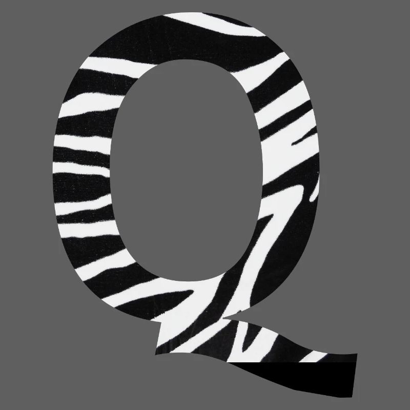 Letter q zebra