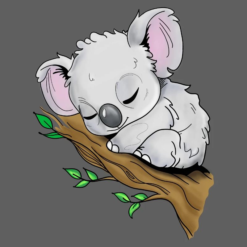 Sleeping Koala
