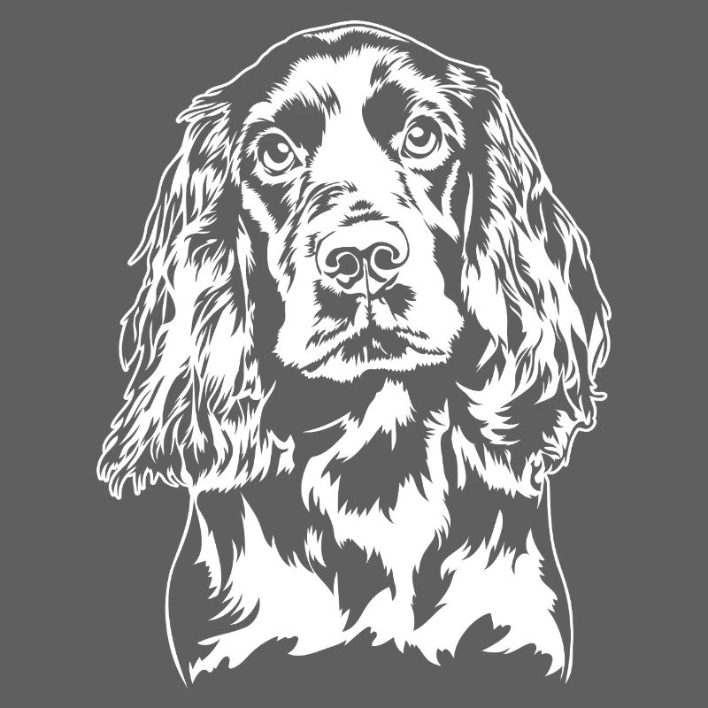 Boykin Spaniel Portrait Hunde Hund Wilsigns