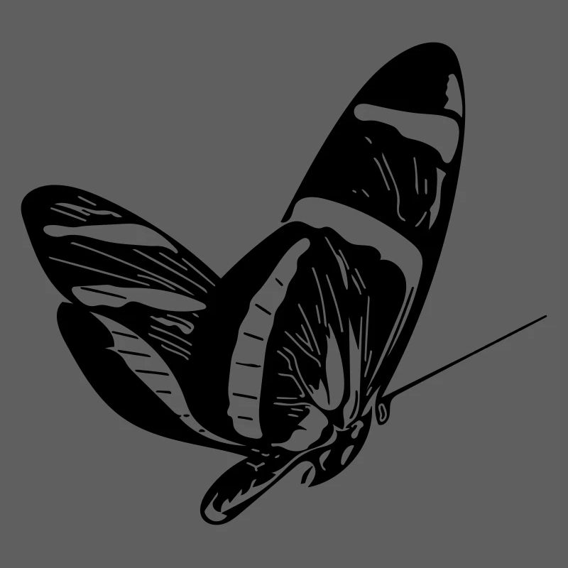 butterfly