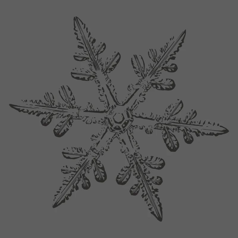 snowflake 8 black