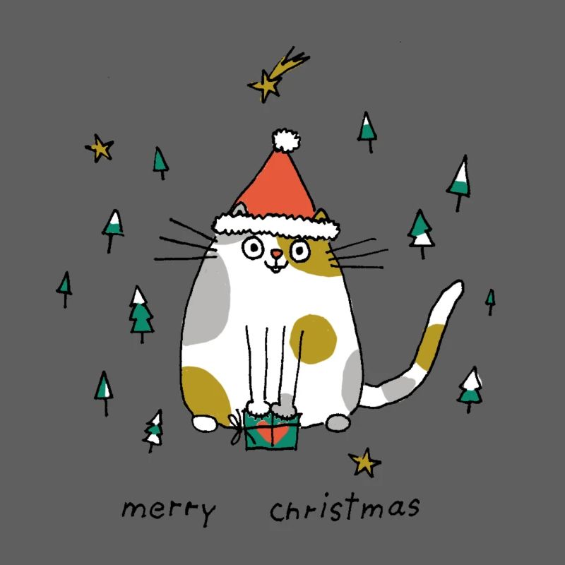 Chat de Noël