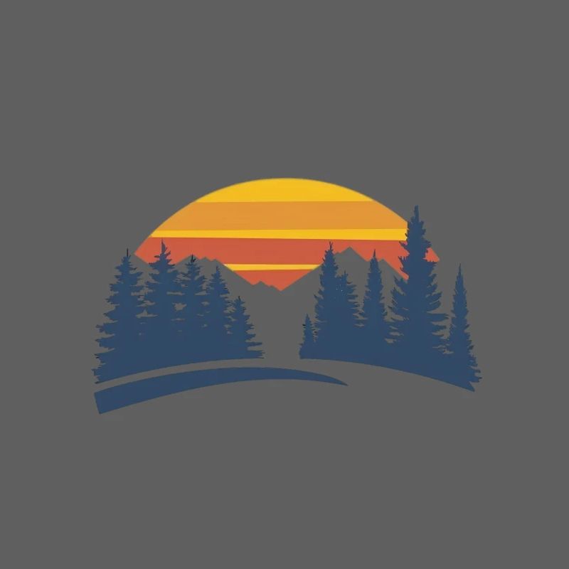 Sunset Forest Nature Experience