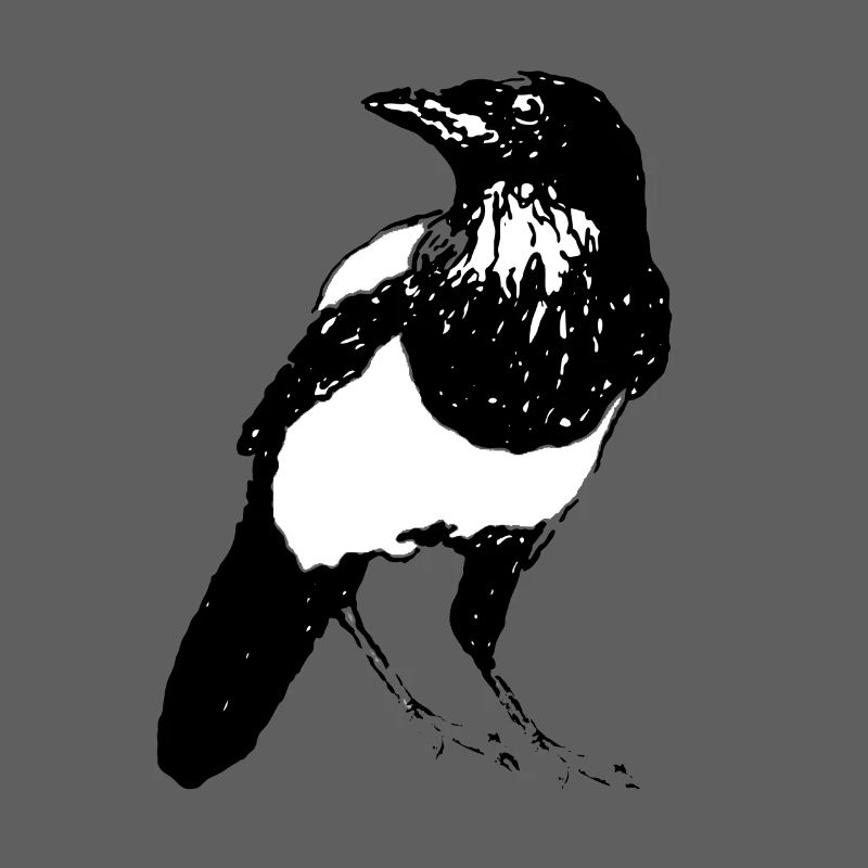 Pie Oiseau * Conception Jack Joblin