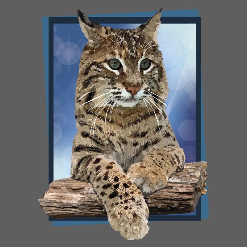 Luchs