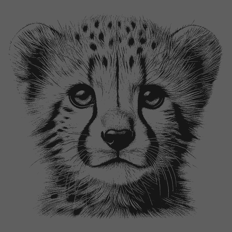 Guépard