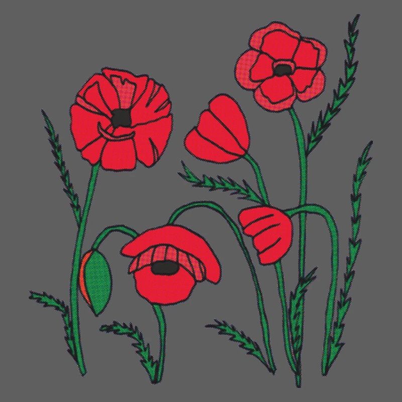 Graines de pavot