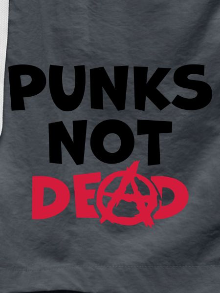 Quote punks not dead