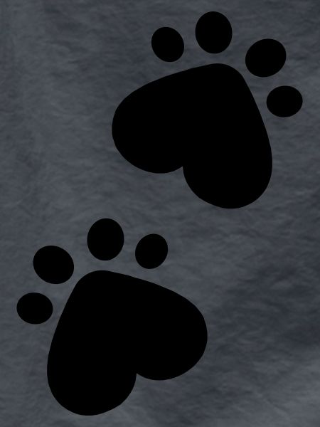Paws
