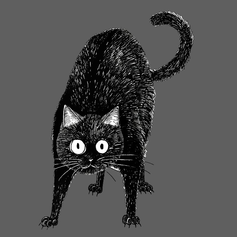Chat noir
