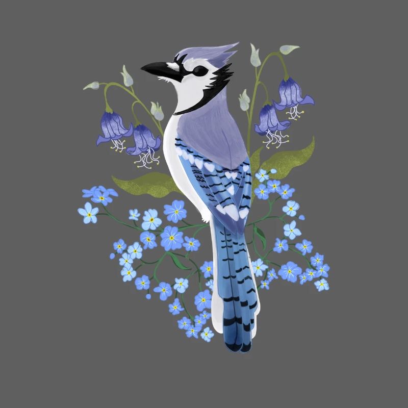 Bluejay