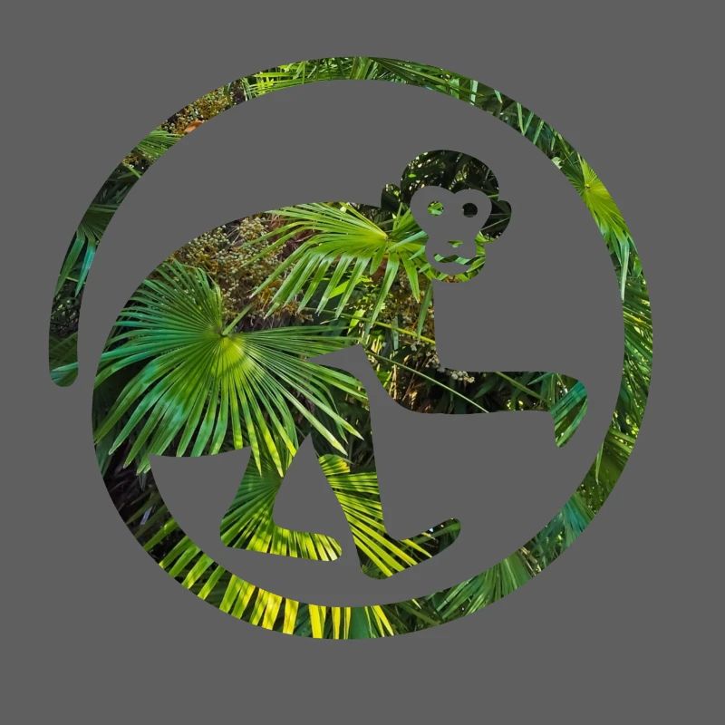 Monkey in the jungle monkey