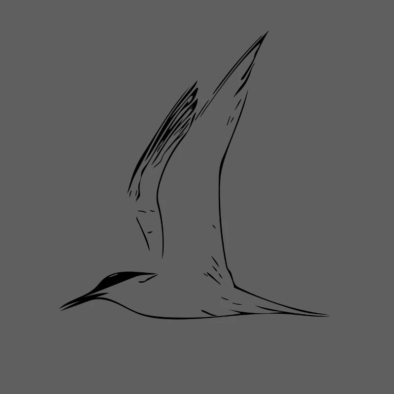 mouette