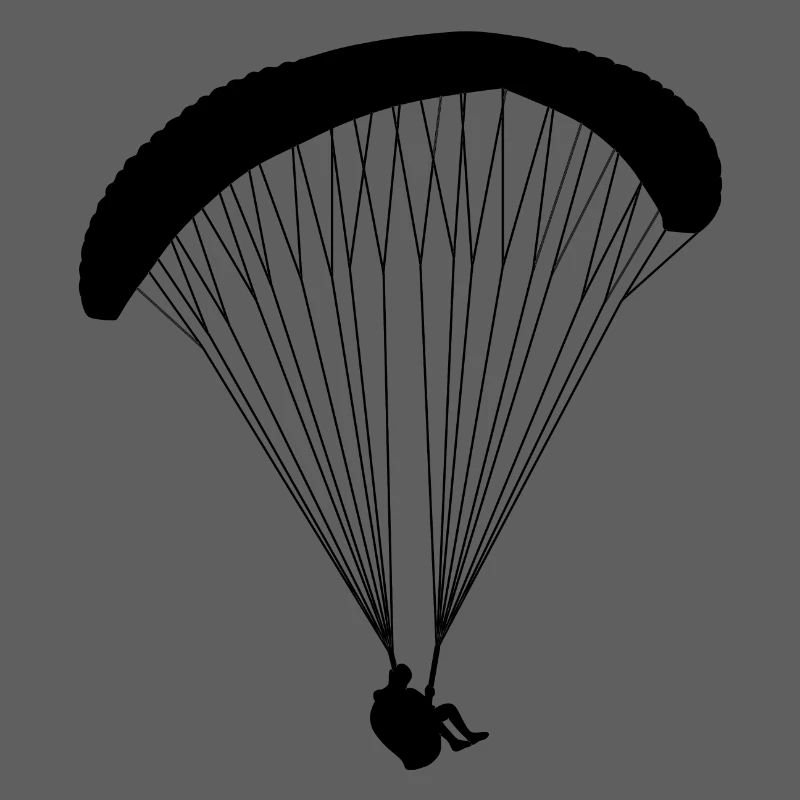 Paraglider