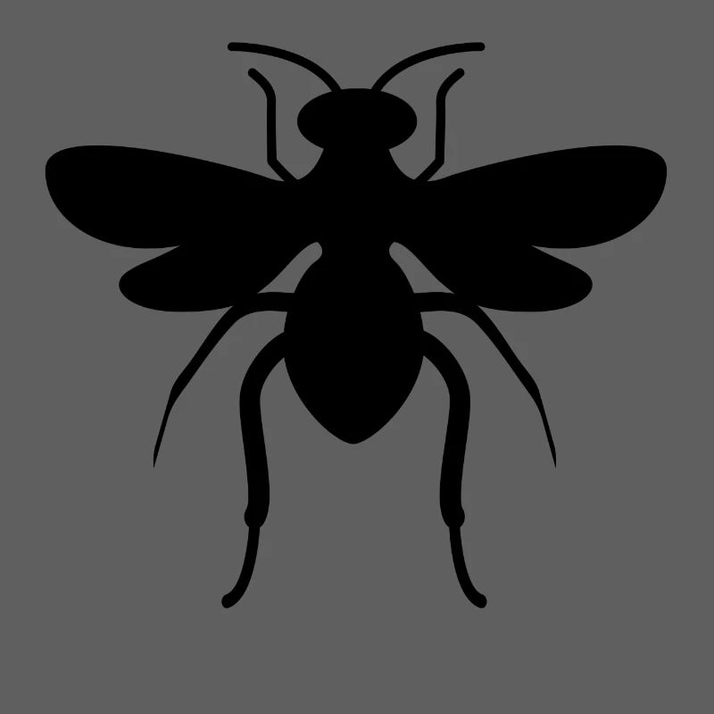 Schwarze Fliege