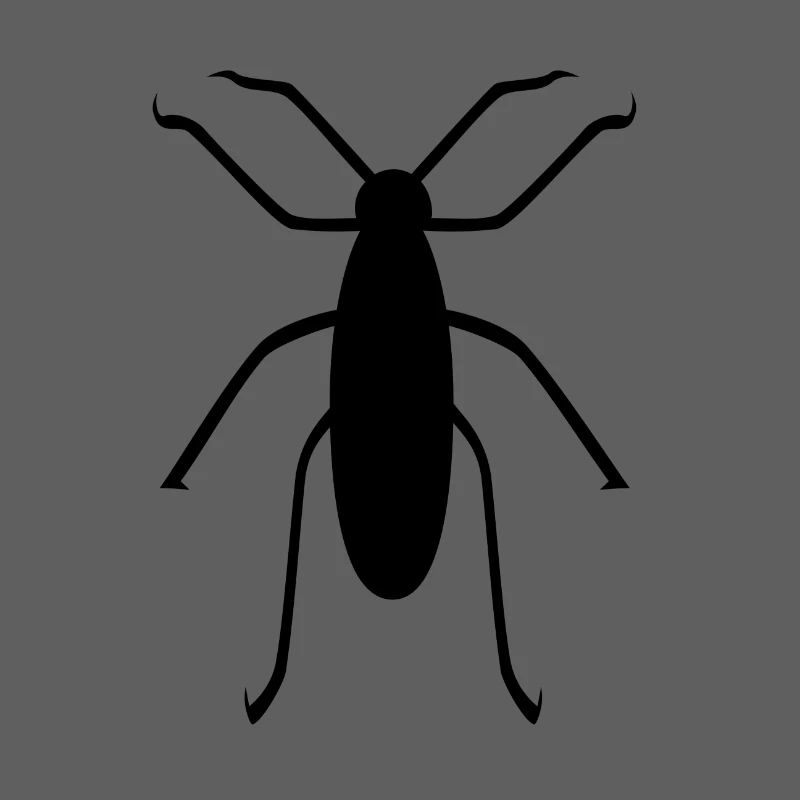insect