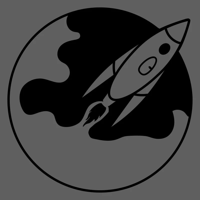 The rocket takes off