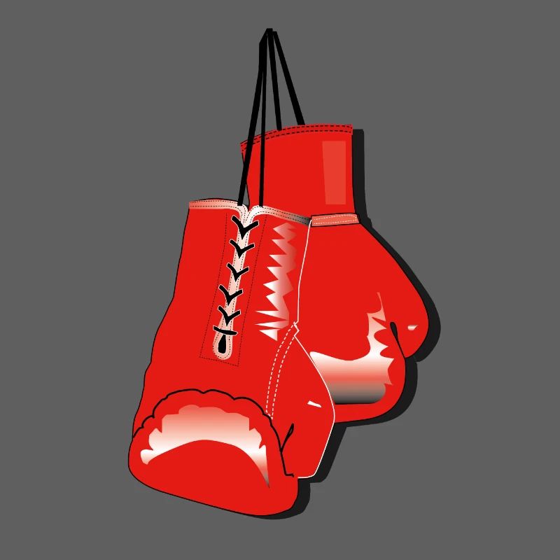 boxhandschuhe