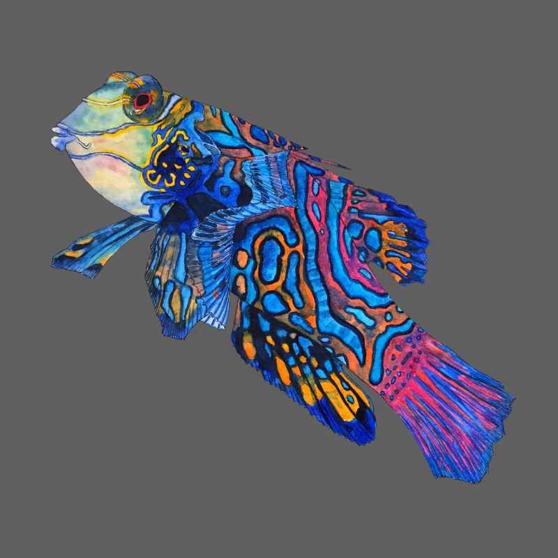 mandarin fish