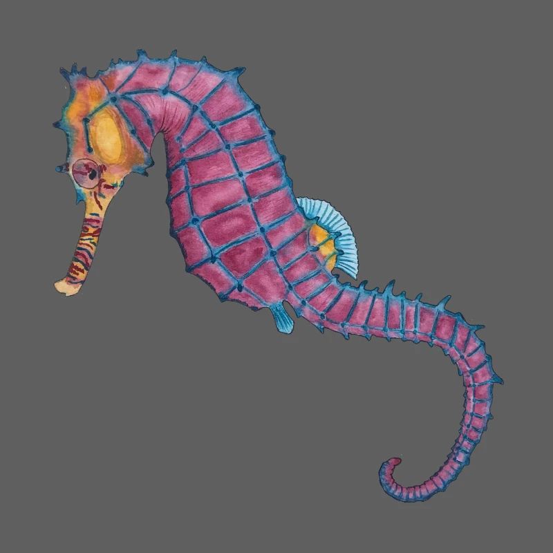 Hippocampe