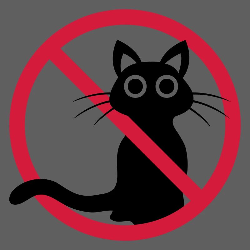 Chat noir interdit