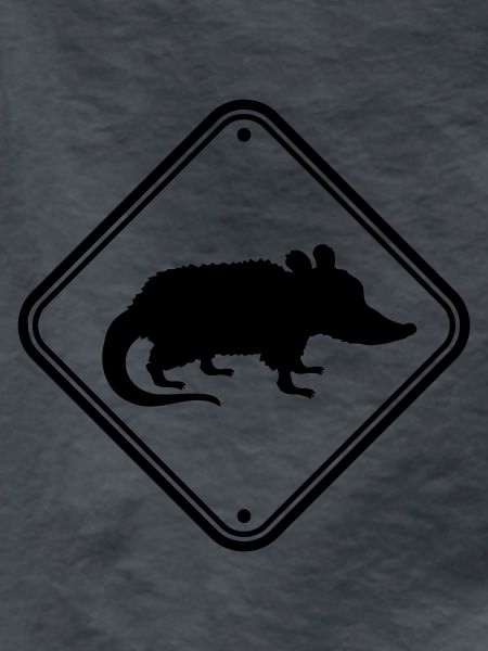 Danger Shield Opossum