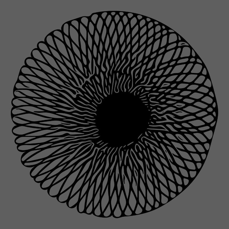 Geometric Optical 3D Circular Line Illusion