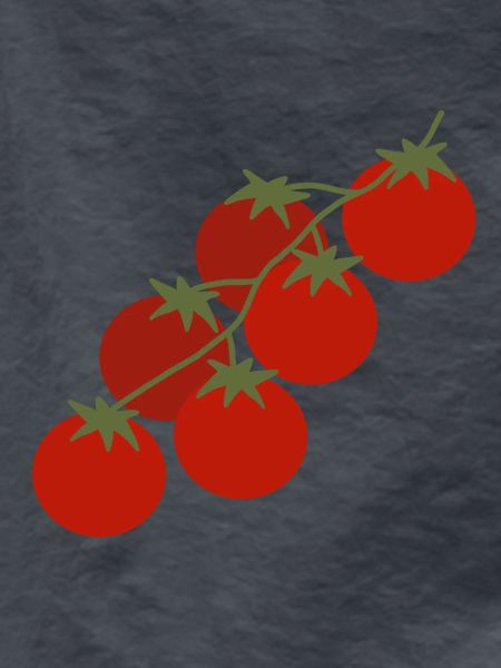 Kirschtomaten-Rebe