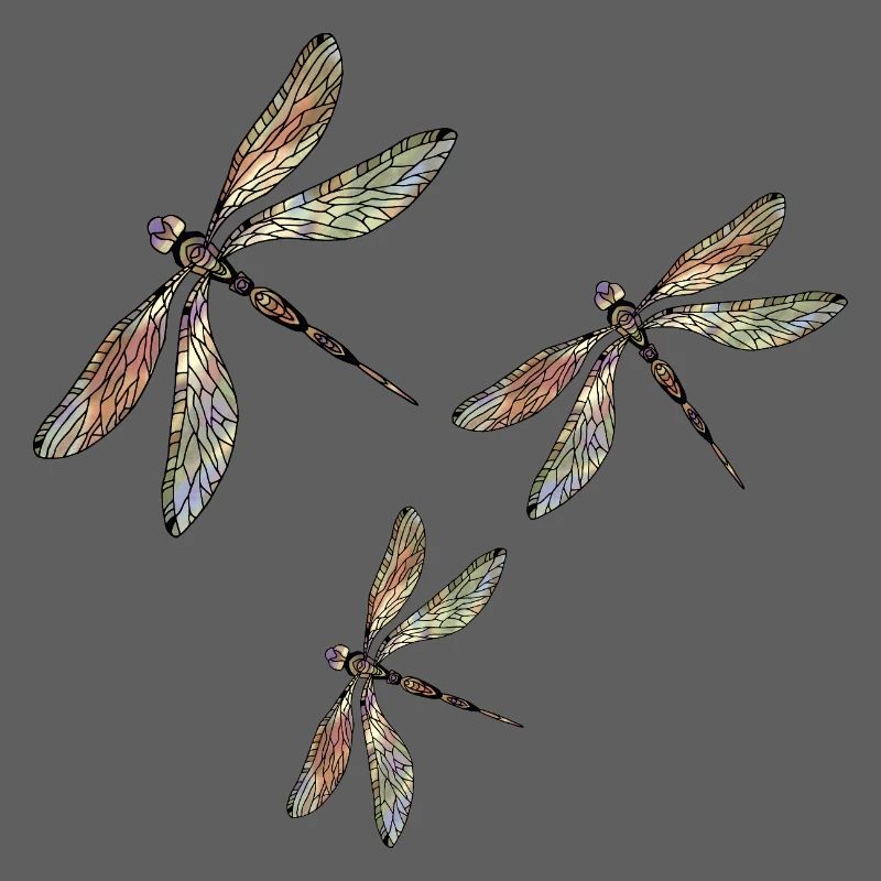Libellules