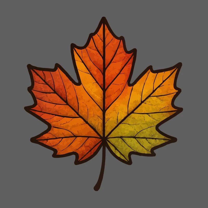 Leaf Autumn Maple Leaf