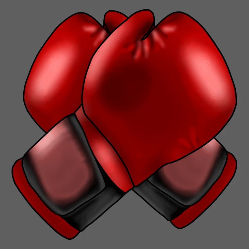 Boxhandschuhe 4