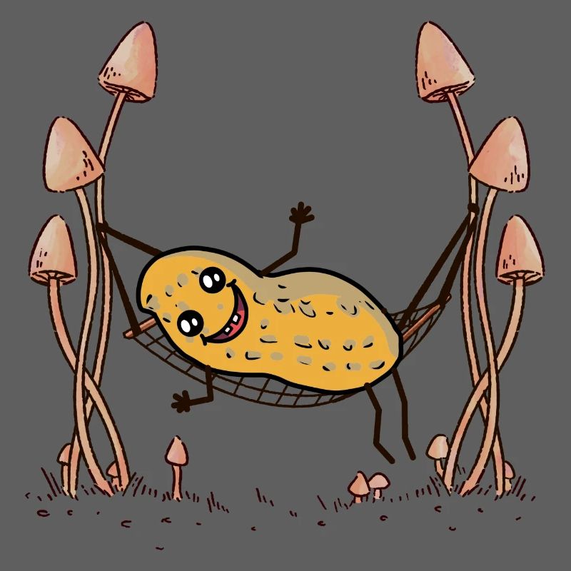 Peanut Peanuts Hammock Chill Hanging Nut
