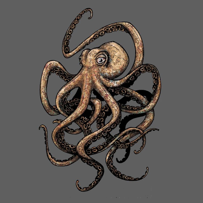 octopus